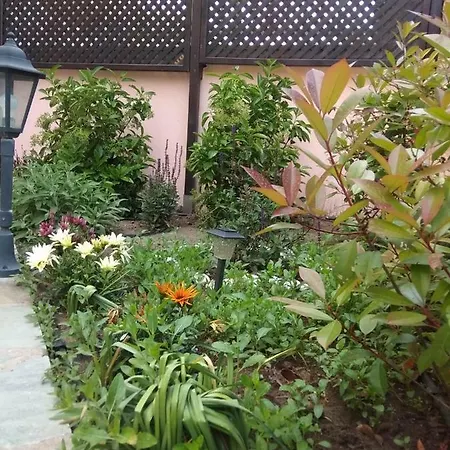 Apartman My 1 Liménasz